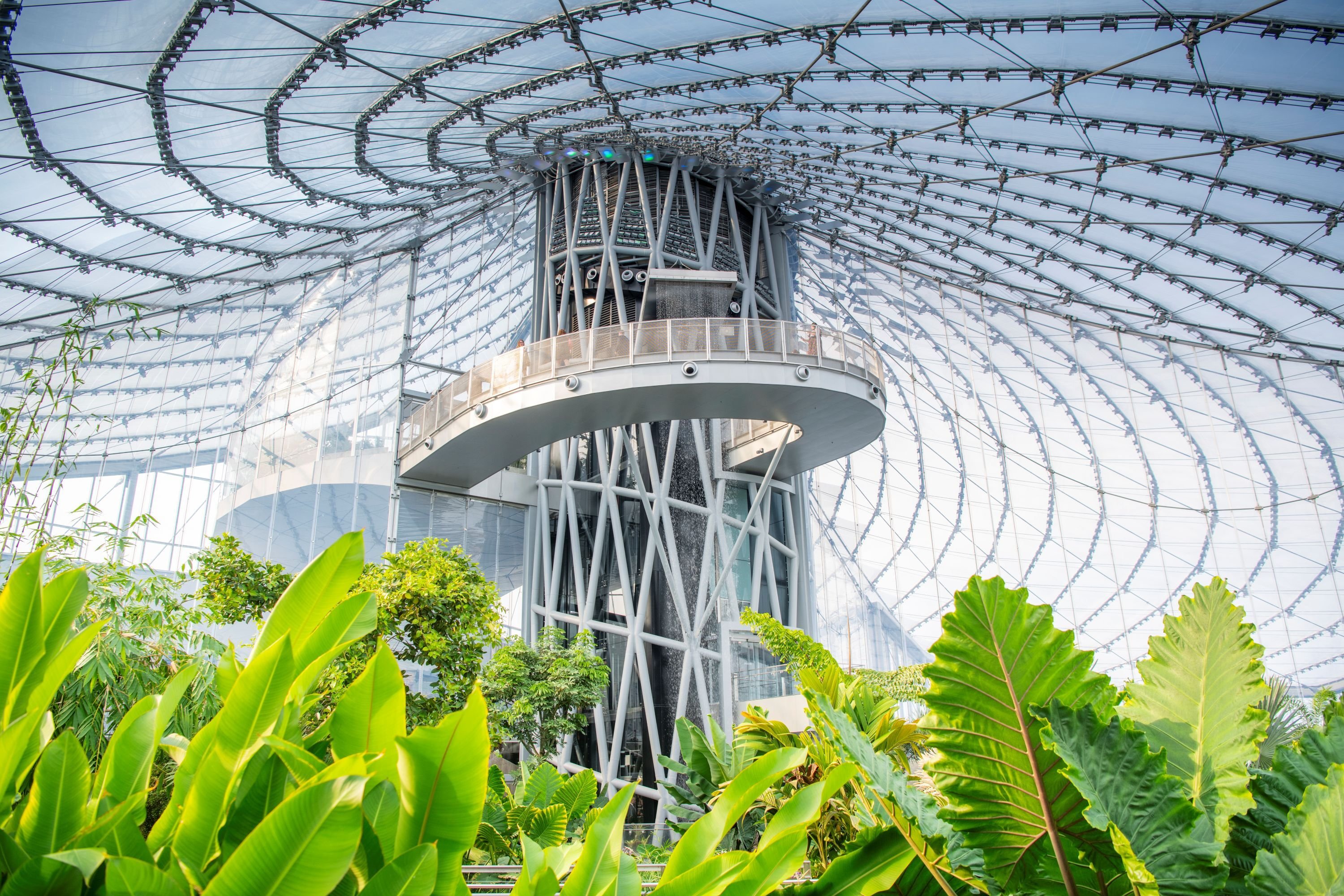 P15-023 - The Leaf at Canadas Diversity Gardens - Dan Harper - 8  (LR)